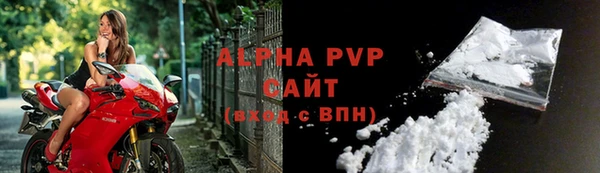 молекула духа Ельня