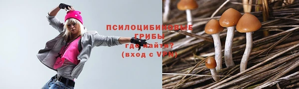 марки lsd Елизово