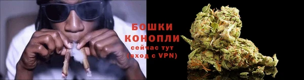 молекула духа Ельня