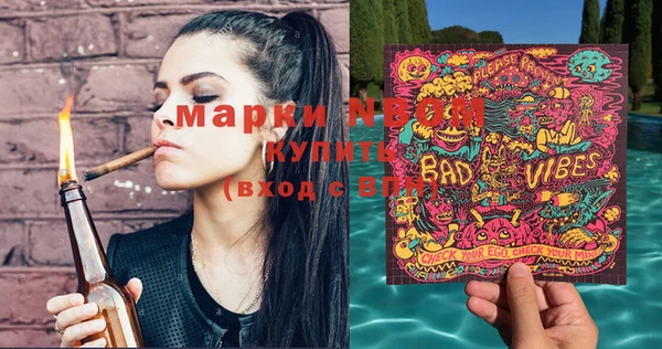 молекула духа Ельня