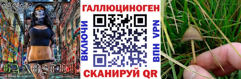 Купить где  Новопавловск  Псилоцибиновые грибы Magic Shrooms 